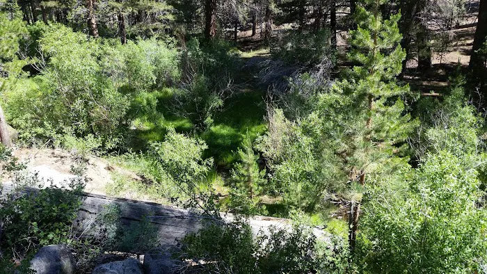 Fish Creek Campground Picture 5
