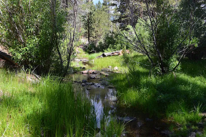 Fish Creek Campground Picture 3