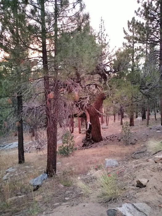 Fish Creek Campground Picture 6