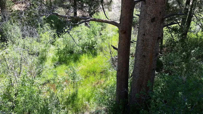 Fish Creek Campground Picture 7