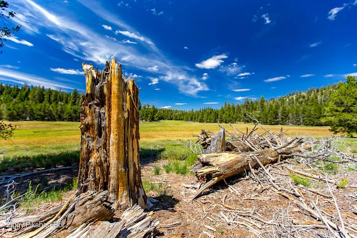Kennedy Meadows Campground Picture 6