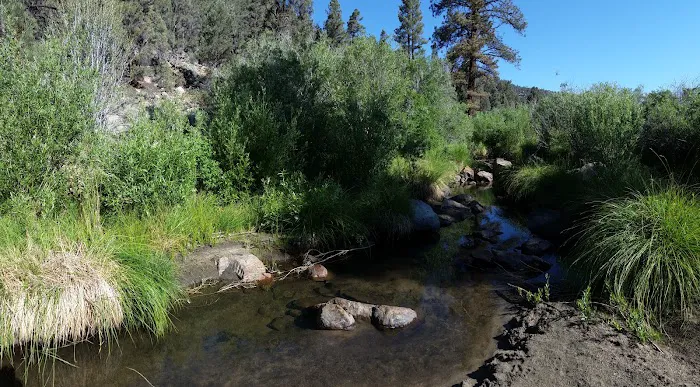 Kennedy Meadows Campground Picture 3