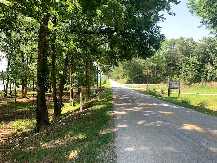 Cypress Shores Campground and rv park llc Picture 5
