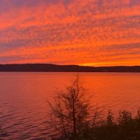 Cypress Shores Campground and rv park llc ico
