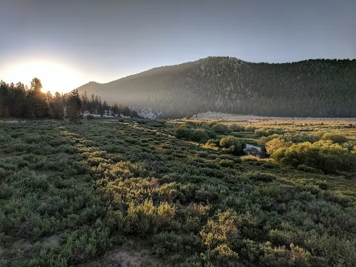Horseshoe Meadow Campground Picture 3