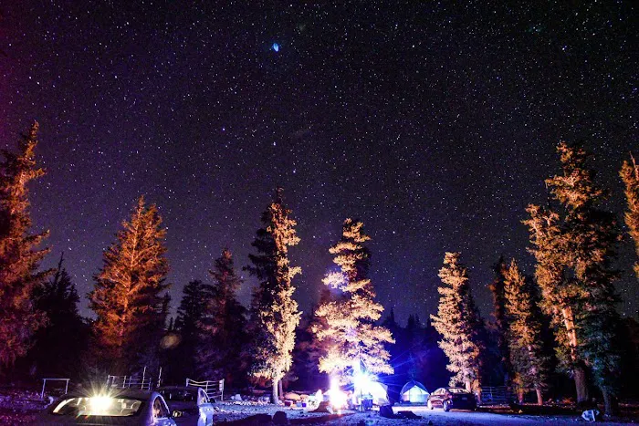 Horseshoe Meadow Campground Picture 7
