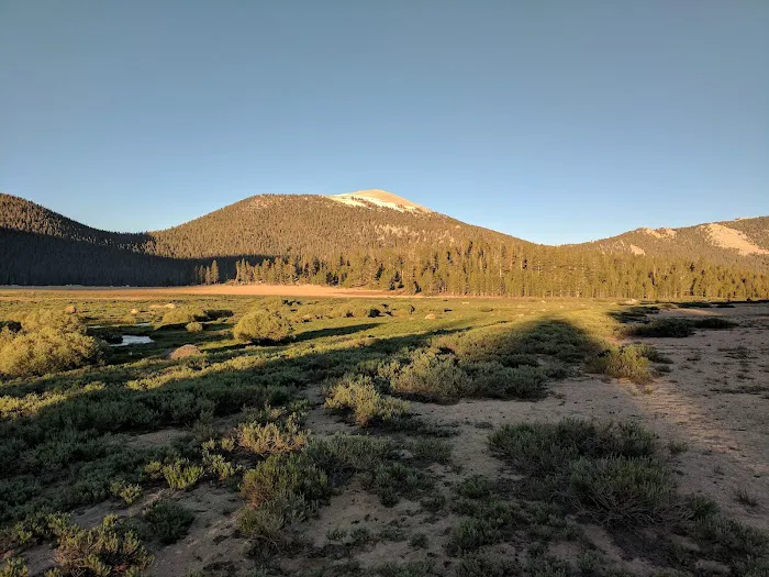 Horseshoe Meadow Campground Picture 1