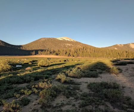 Horseshoe Meadow Campground