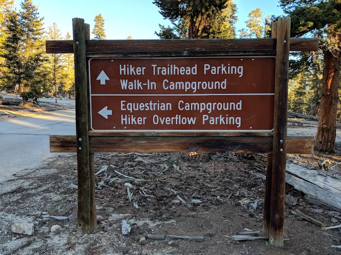 Horseshoe Meadow Campground Picture 10