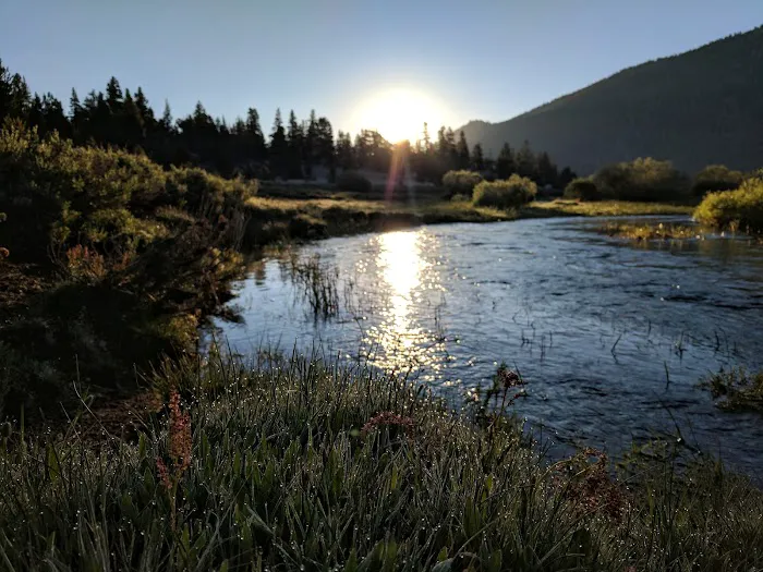 Horseshoe Meadow Campground Picture 2