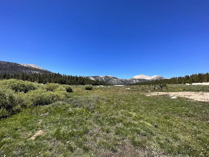 Cottonwood Pass Trailhead Campground Picture 7