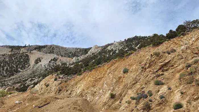 Cottonwood Pass Trailhead Campground Picture 6