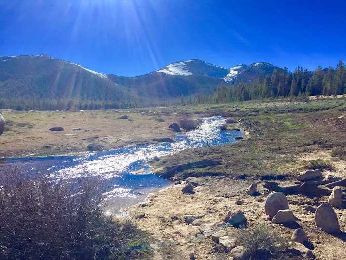 Cottonwood Pass Trailhead Campground Picture 8