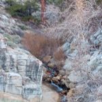 Horseshoe Meadow Equestrian Camp