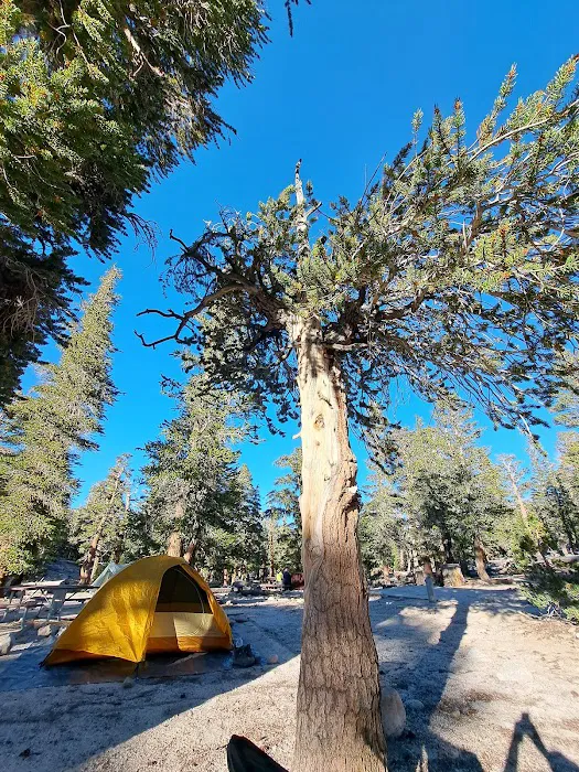 Cottonwood Lakes Walk in Campground Picture 2