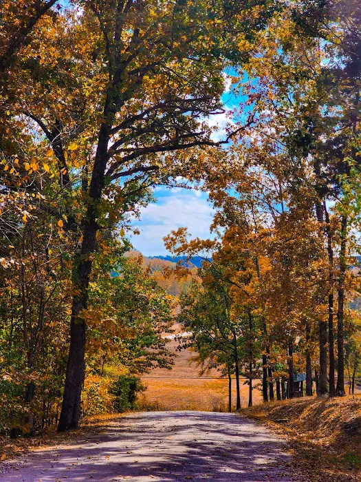 I 40 Hideaway Picture 2
