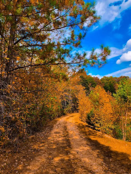 I 40 Hideaway Picture 5