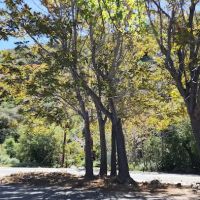 Fairview Campground ico