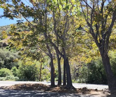 Fairview Campground