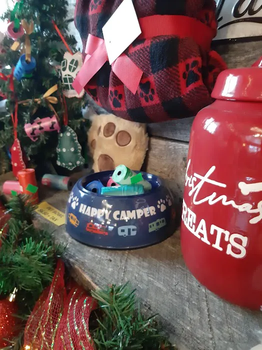 Parkers Crossroads RV Park Picture 10