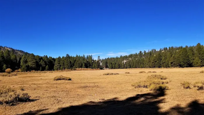 Horse Meadow Campground Picture 2