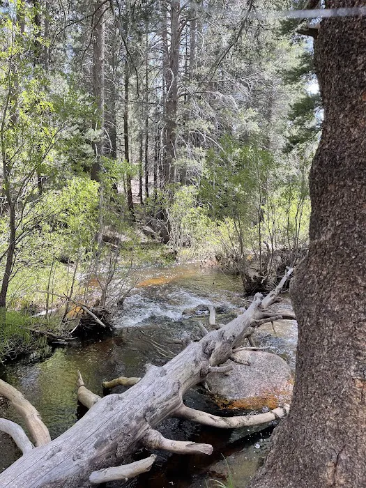 Horse Meadow Campground Picture 6