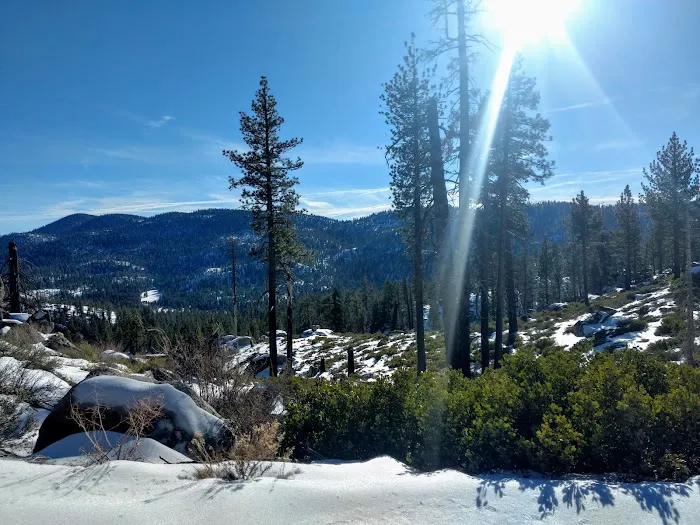Horse Meadow Campground Picture 8