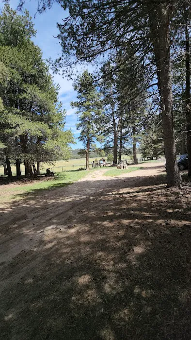 Big Meadow Campground Picture 2