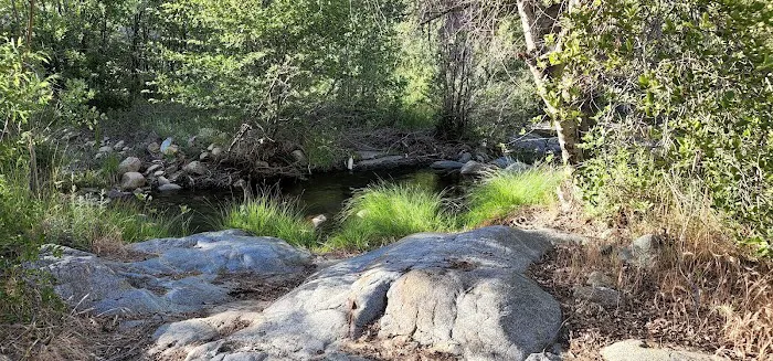 Big Meadow Campground Picture 10
