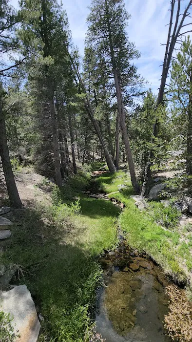 Big Meadow Campground Picture 8