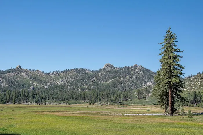 Big Meadow Campground Picture 3