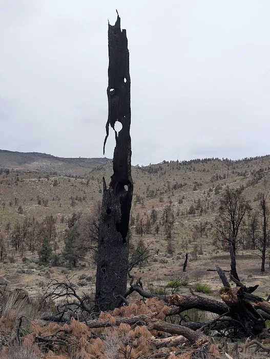 Long Valley Campground Picture 1