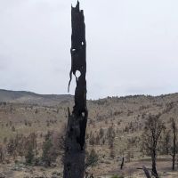 Long Valley Campground ico