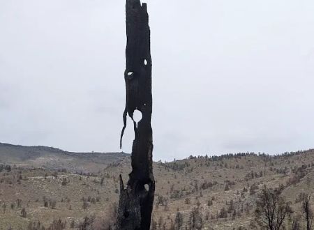 Long Valley Campground