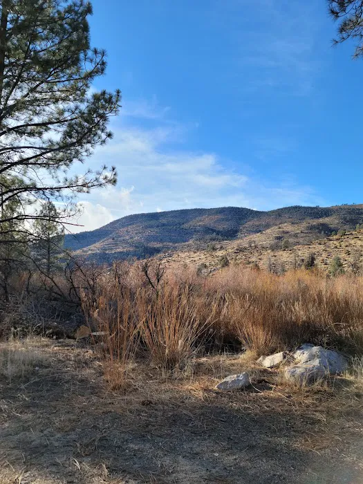 Long Valley Campground Picture 9