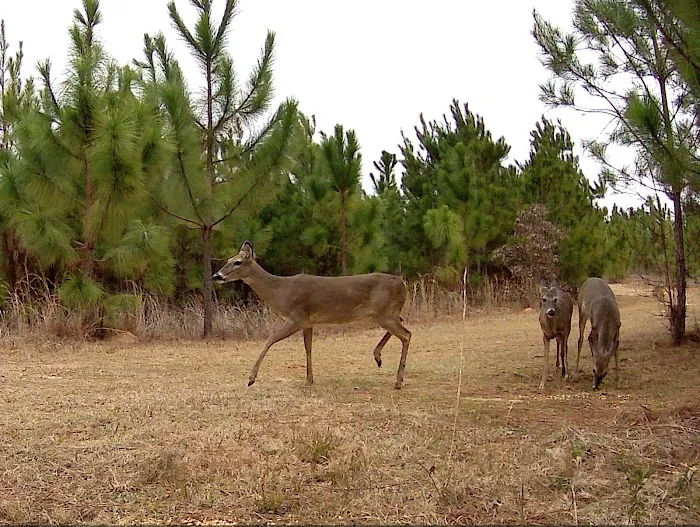 Backwater RV Park Picture 7