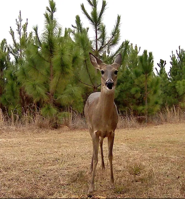 Backwater RV Park Picture 10