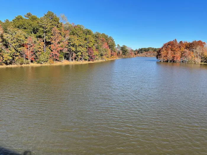 Pataula Storage, Camping, RV Park Picture 2