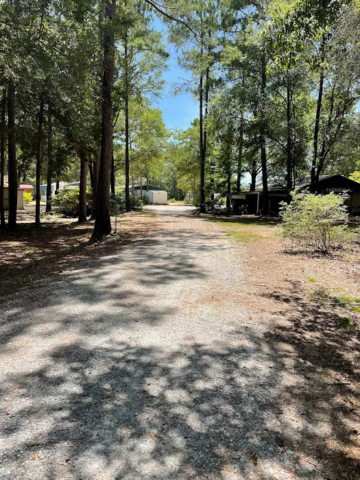 Pataula Storage, Camping, RV Park Picture 9