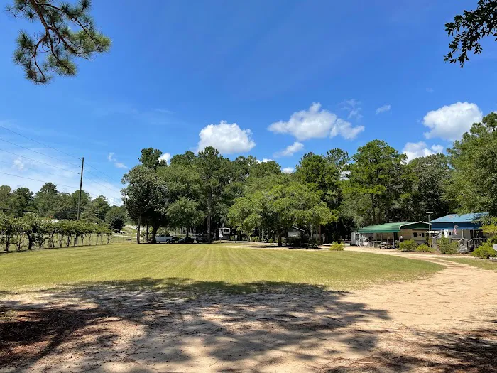 Pataula Storage, Camping, RV Park Picture 6