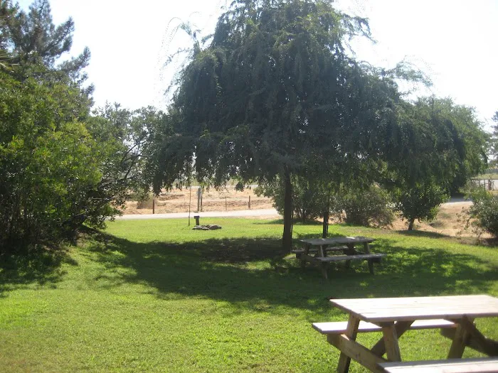 Eagle's Nest Resort Picture 6