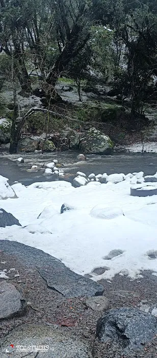 Leavis Flat Campground Picture 4