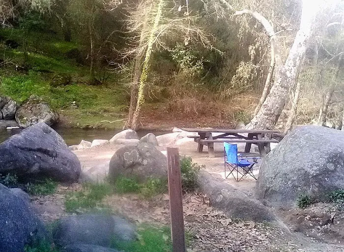 Leavis Flat Campground Picture 6