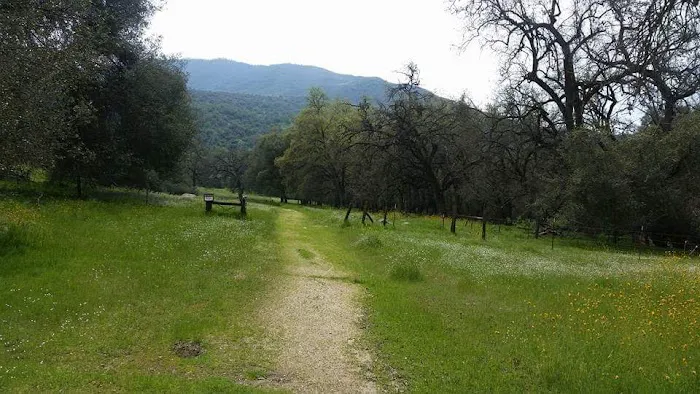 Leavis Flat Campground Picture 5