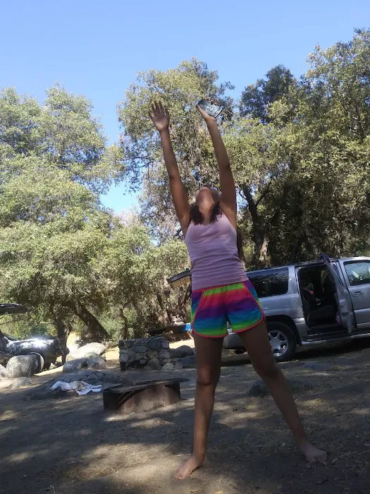 Leavis Flat Campground Picture 10