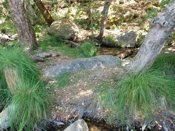 Leavis Flat Campground Picture 1