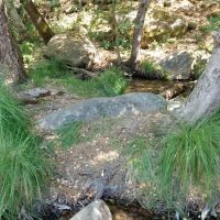 Leavis Flat Campground ico