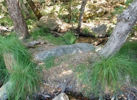 Leavis Flat Campground