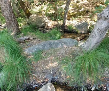 Leavis Flat Campground