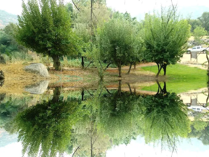 Quail Valley Recreational Village Picture 5